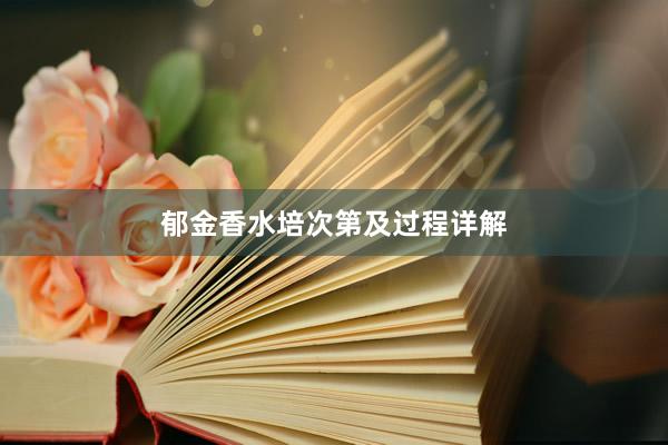 郁金香水培次第及过程详解